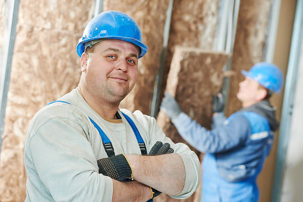 Best Local Insulation Services  in Olivet, TN